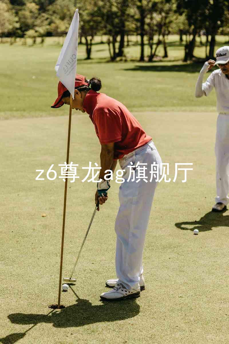 z6尊龙ag旗舰厅