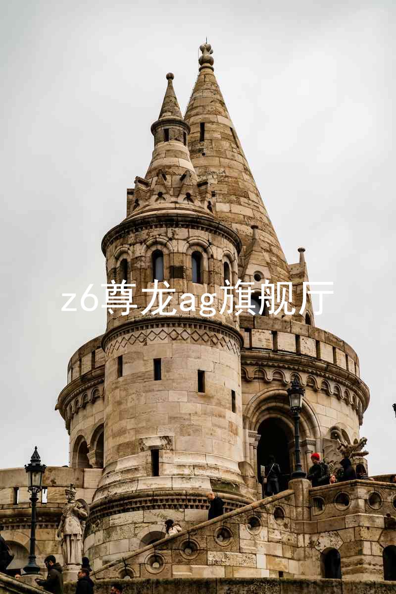 z6尊龙ag旗舰厅