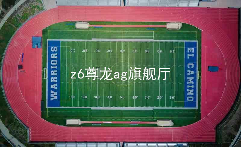 z6尊龙ag旗舰厅