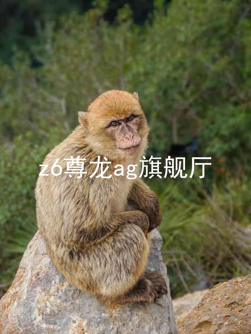 z6尊龙ag旗舰厅